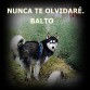 Jamas lo olvidaré.
